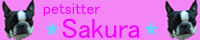 petsitter sakura